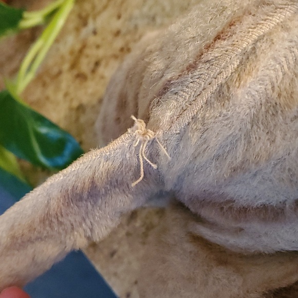 RARE VINTAGE rubber face stuffed cat - Picture 7 of 16